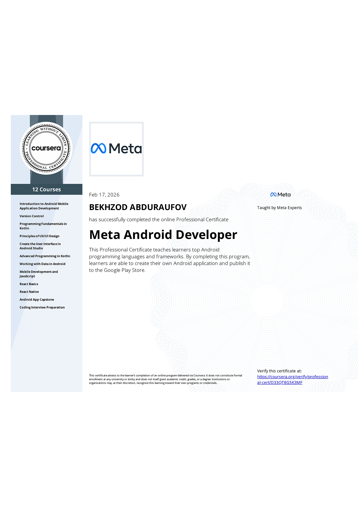 Meta Professional Certificate